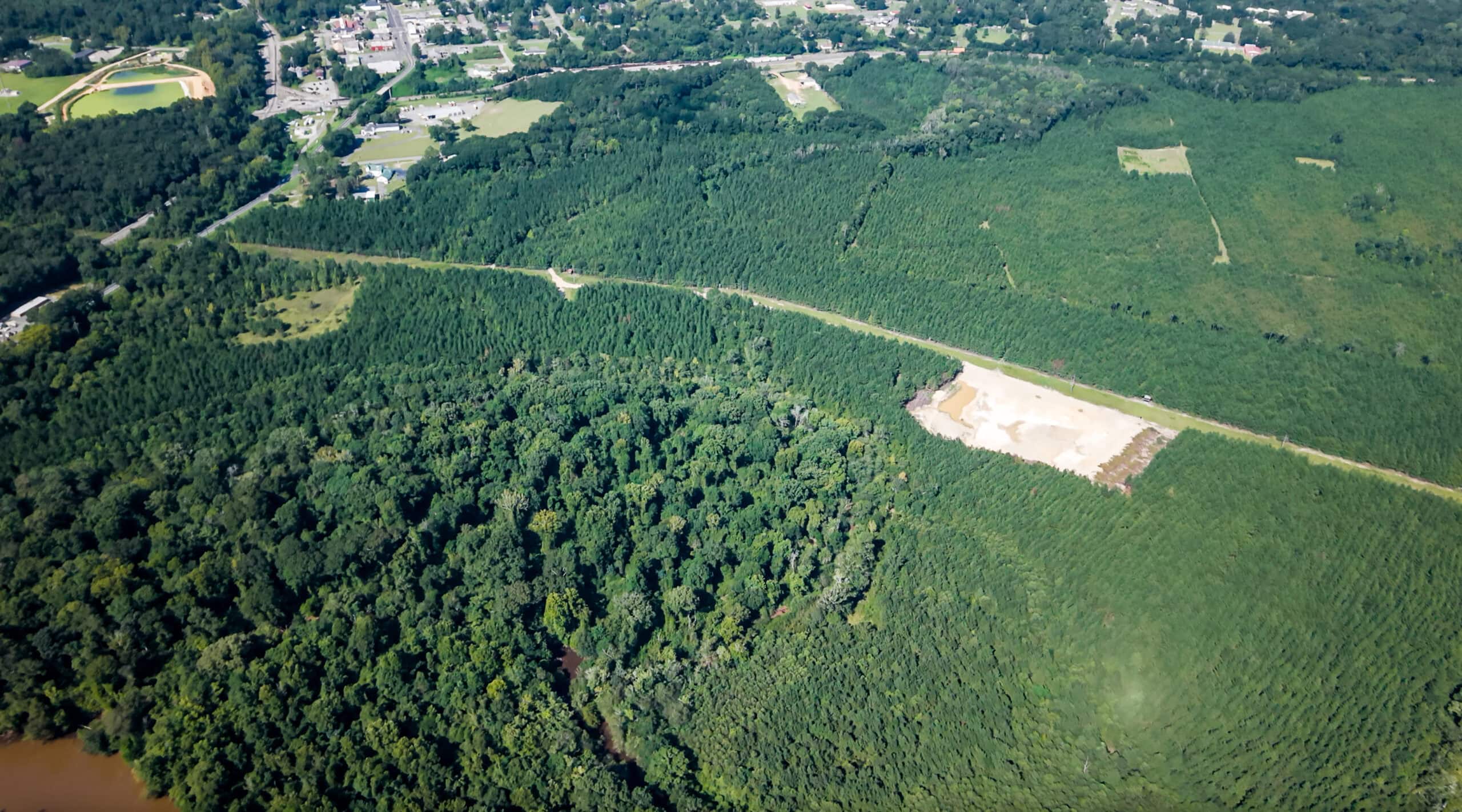 224.56 Acres | Buck Creek 224 | Montezuma, GA